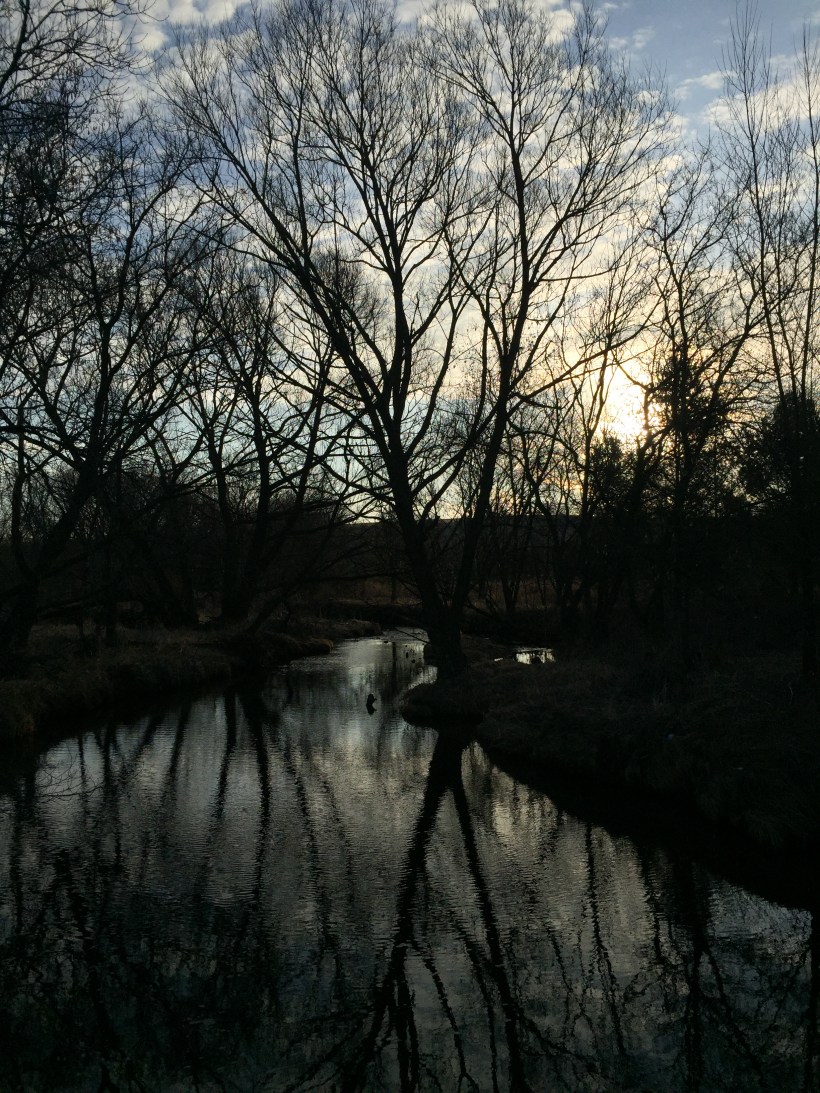 D9503720-B798-49D0-ACF9-A04484D41887