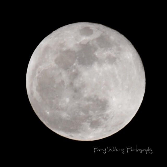 Penny Wilkosz Moon Photo