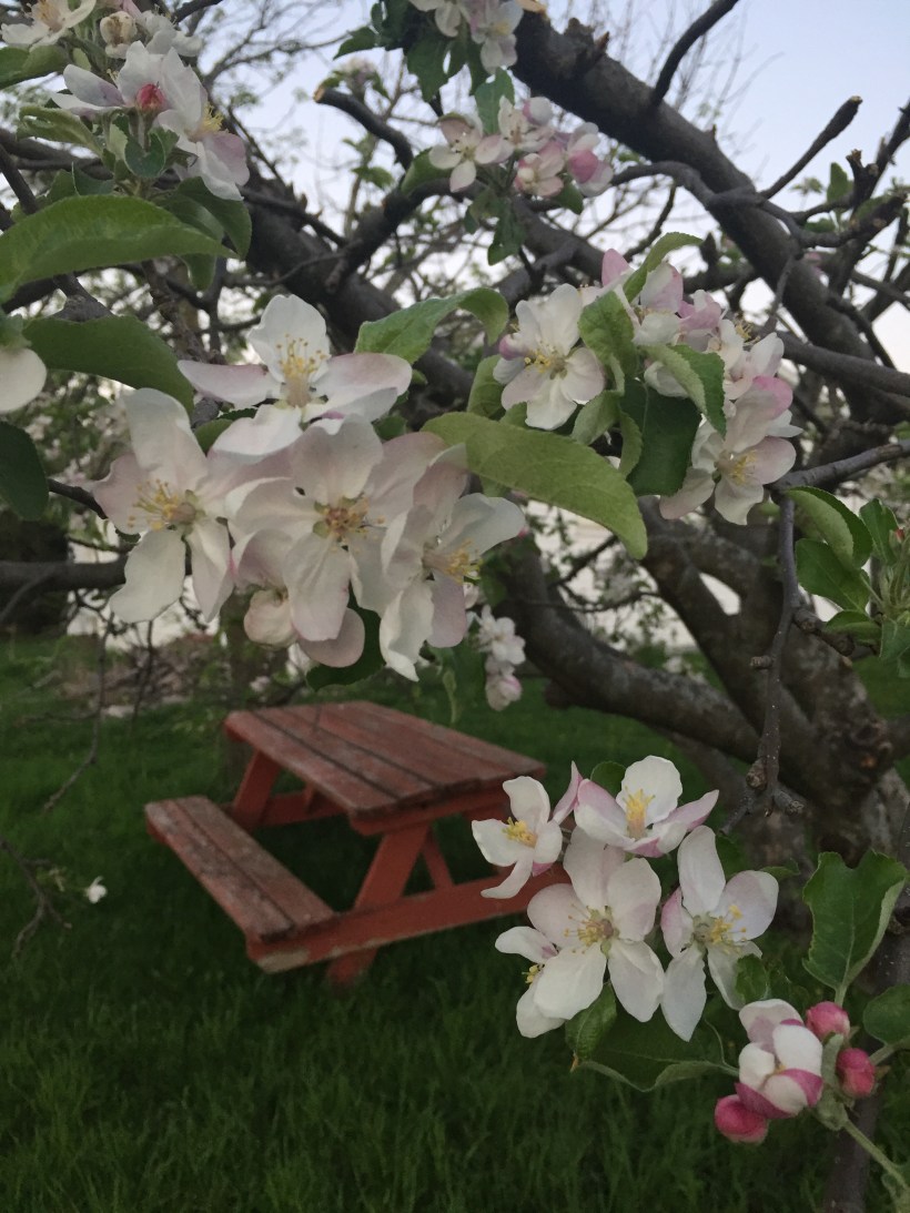 3F5FB98C-9F91-4B36-9DCB-52B7096812E7