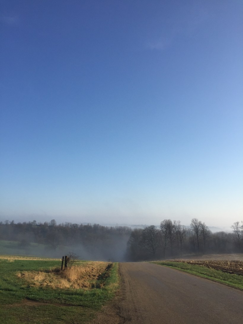 50B84FD8-A4A7-41E7-8C46-F27B4A425A35