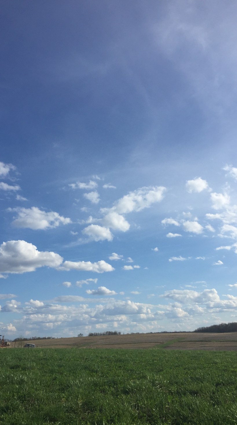 93B530E8-D41D-48DF-A02C-27D05BBBC194