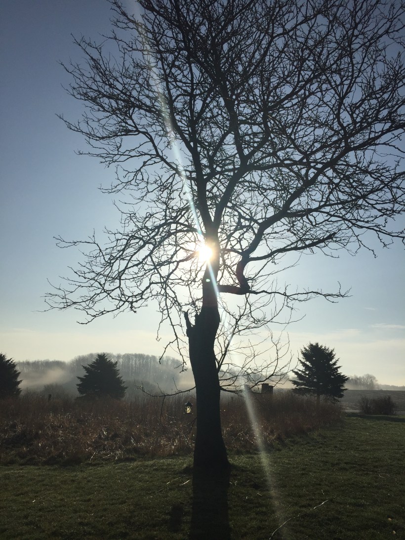 A5EFA6AF-ACA1-4AD8-B8B9-ED6C97535360