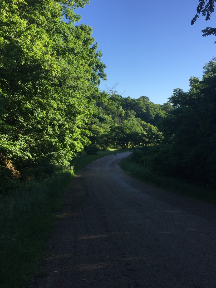 23941858-19E3-46B3-BB31-AFAE31DA7710