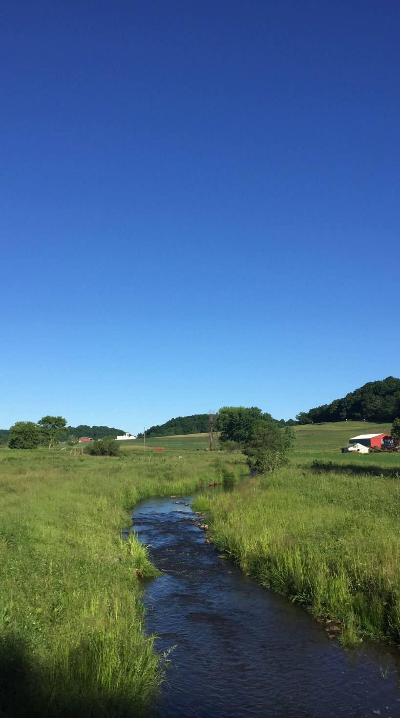 264FE965-6E90-4ED0-A4EB-69598E41C070