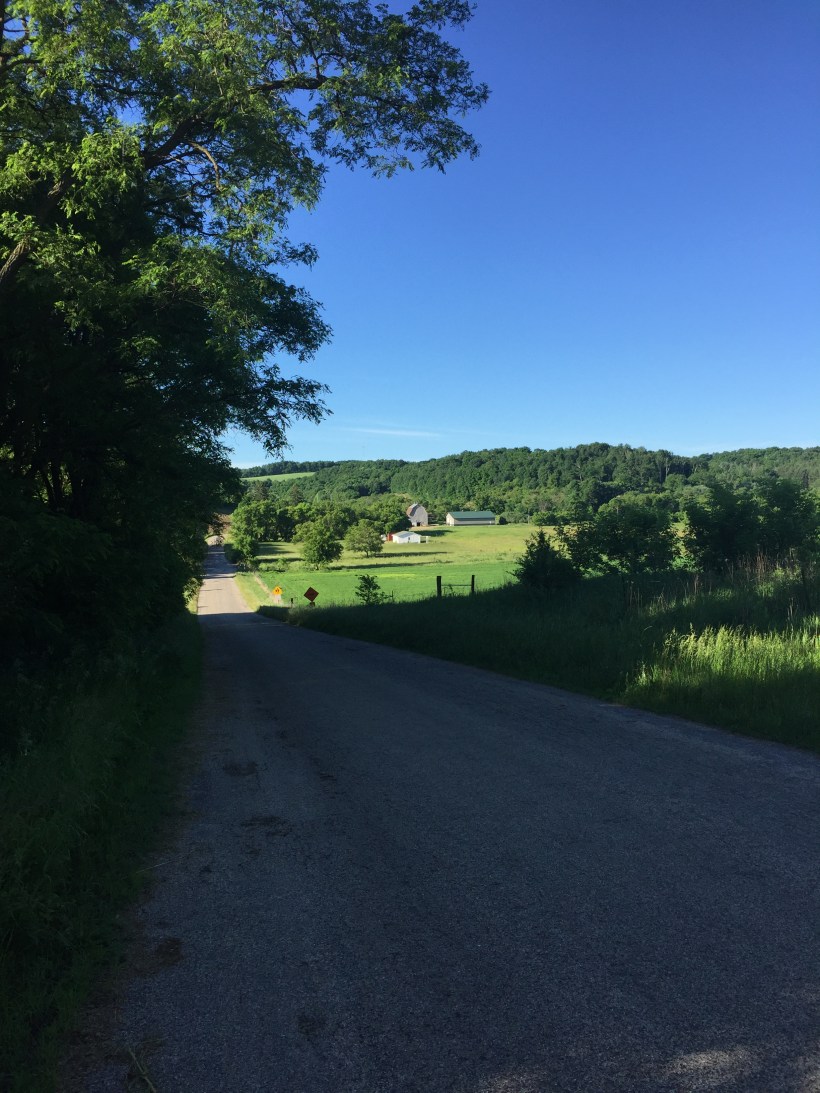 6137F58E-89F5-495D-90E0-21C10F995864