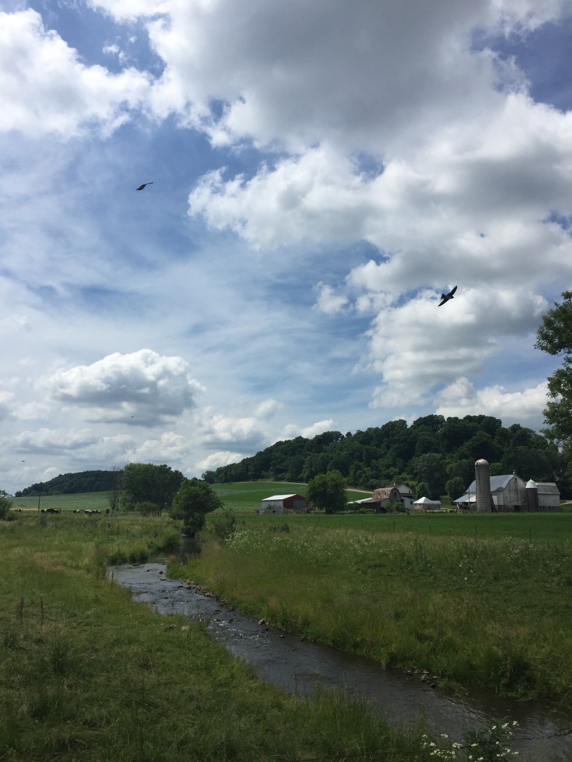 E1F49BBF-2BF7-4D8D-850B-098CB2620E5C