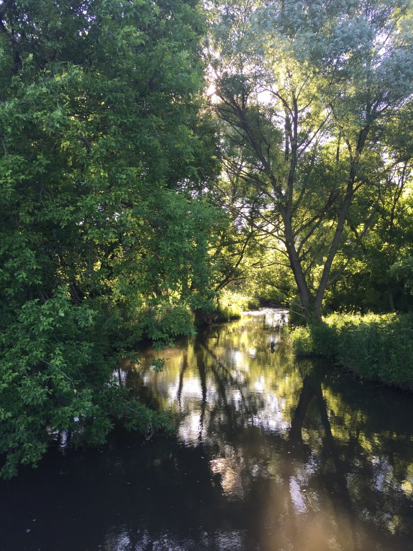 E395DC5E-A266-4547-8C40-073DCF1050BB