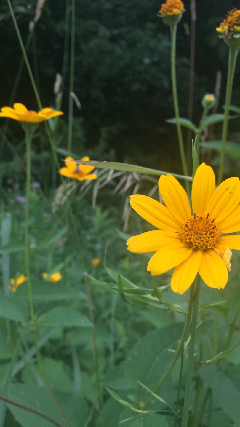 D6DAE10B-4404-4E28-8095-D0B609C4FA94