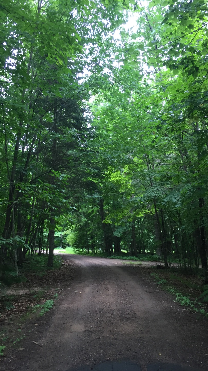 8740106D-A8A2-4F1C-A6A2-579AECC98891