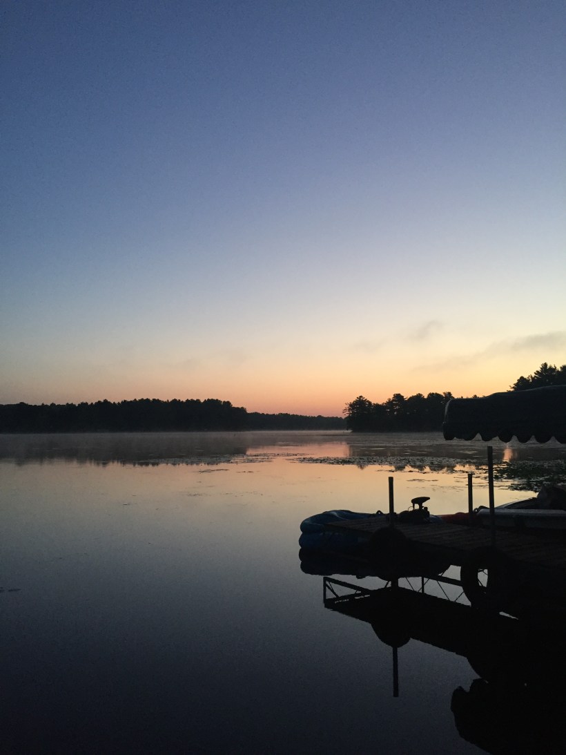 8B3FC6B2-17B1-4666-B901-3A5D6B0A7218