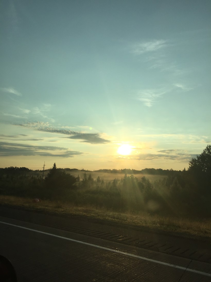 D577D728-52E2-4271-8037-5F0C51CA6566