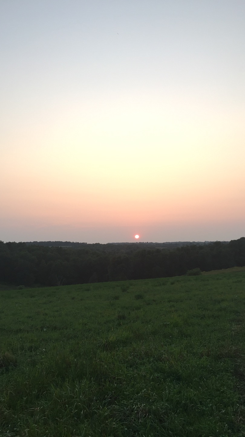 16E4DC21-B678-4BCB-8DB2-EB9E671D83DF