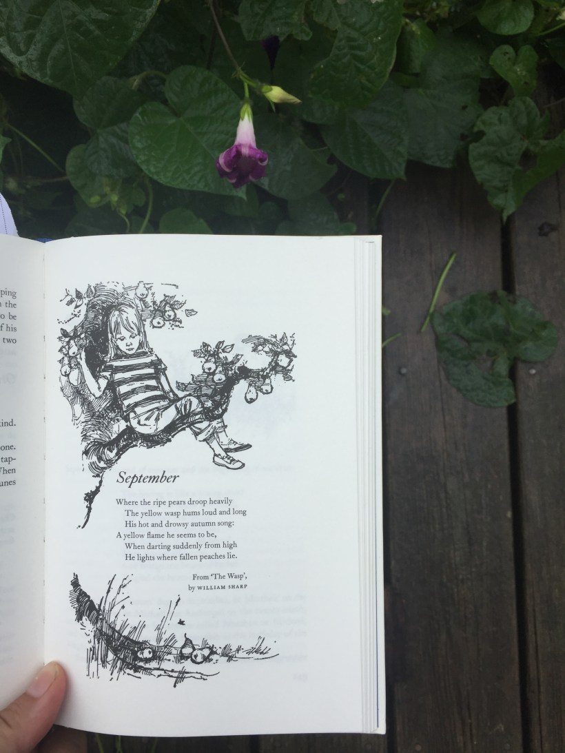 399F2639-30FF-4377-B403-6F81C102F1C2