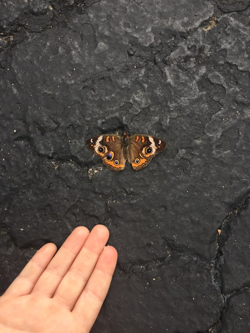 C58F5194-2EE4-4C7A-9283-860BEA37B89B