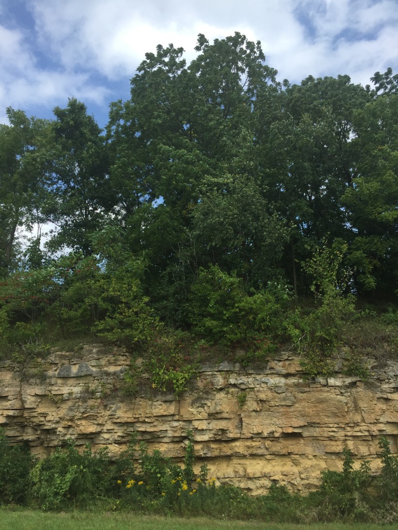 DC737639-E871-48D9-BEB5-E7BF8ED9C285