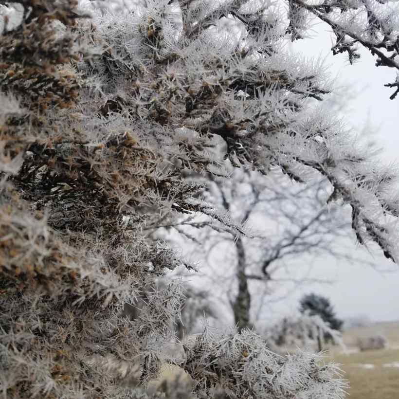 img_20190115_092245_344