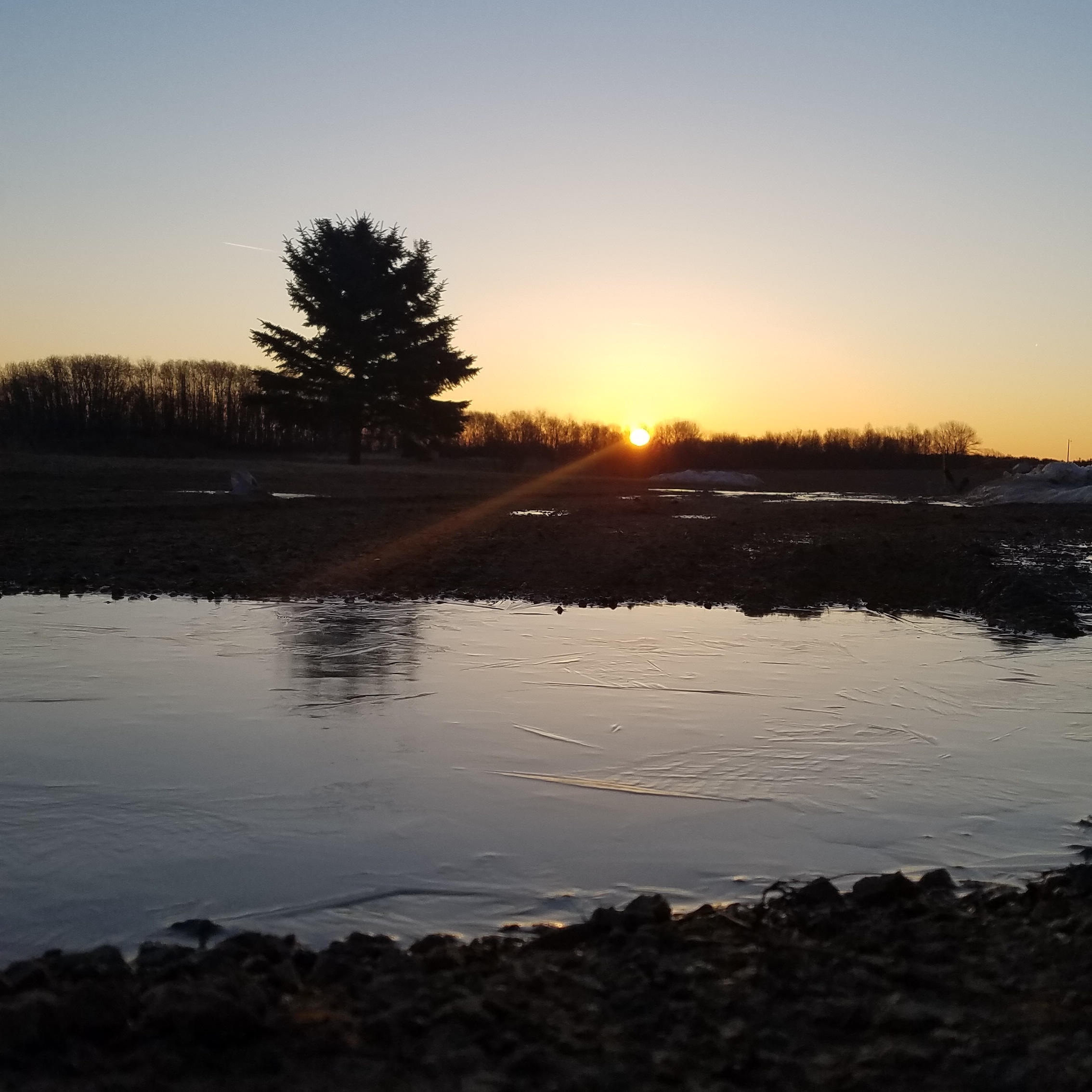 IMG_20190322_081553_422