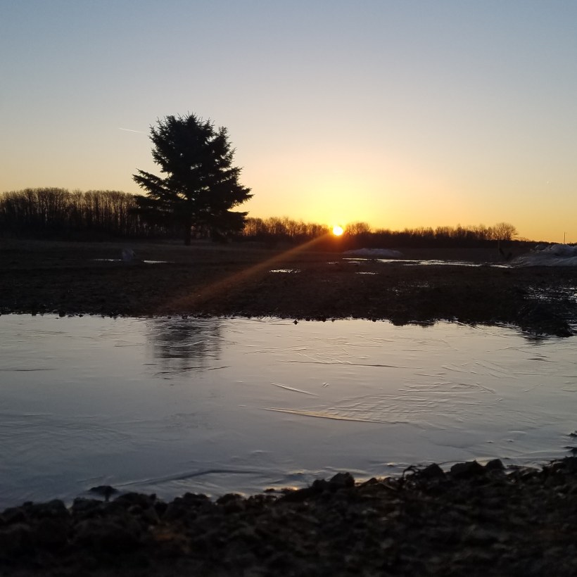 IMG_20190322_081553_422