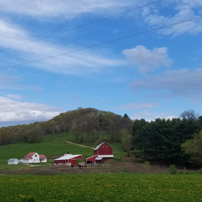 IMG_20190514_102337_034