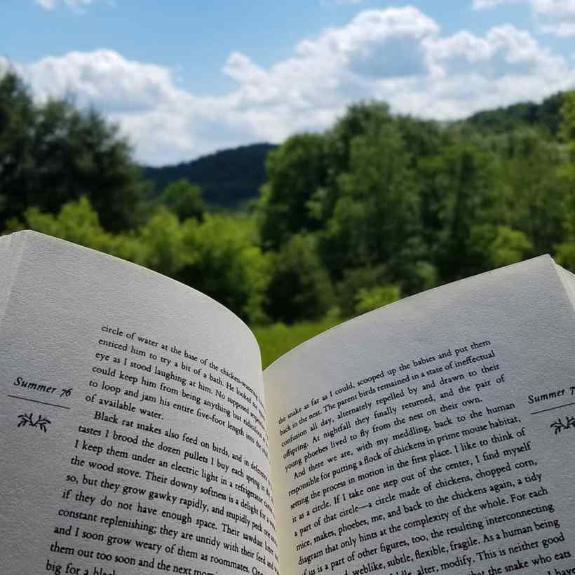 IMG_20190611_060732_942