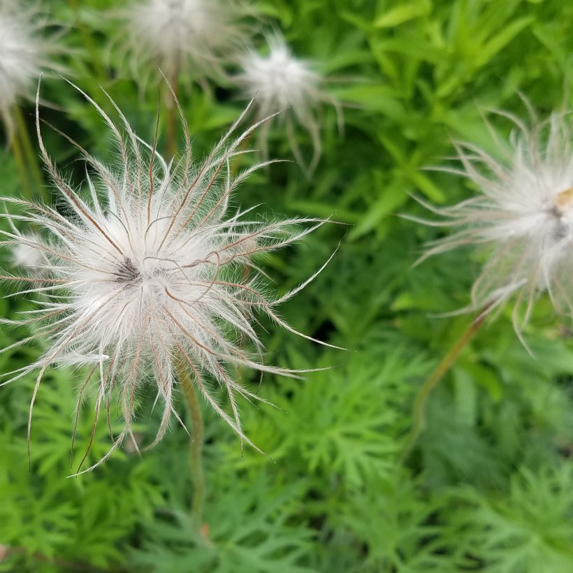 IMG_20190622_155104_577