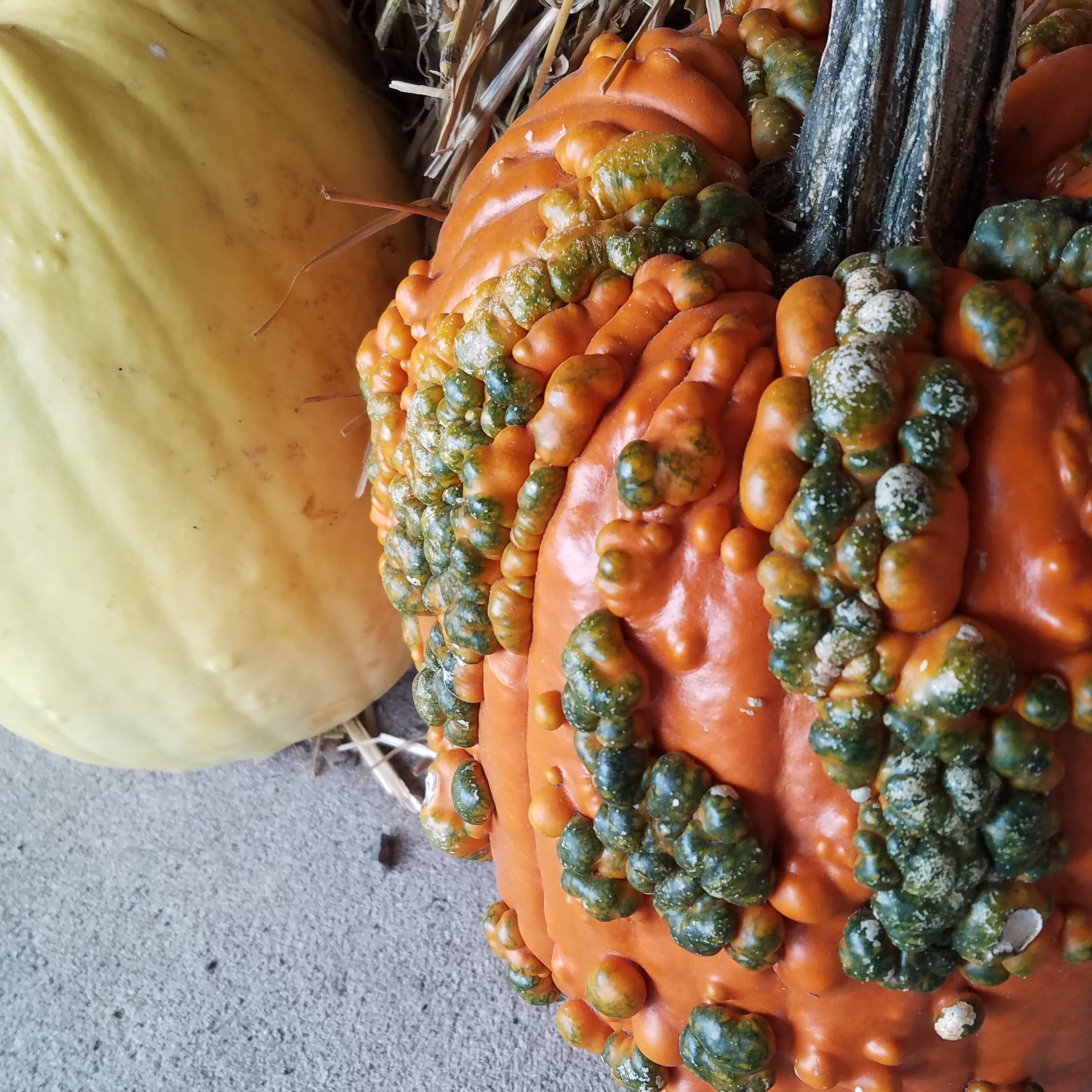 IMG_20191015_064442_364