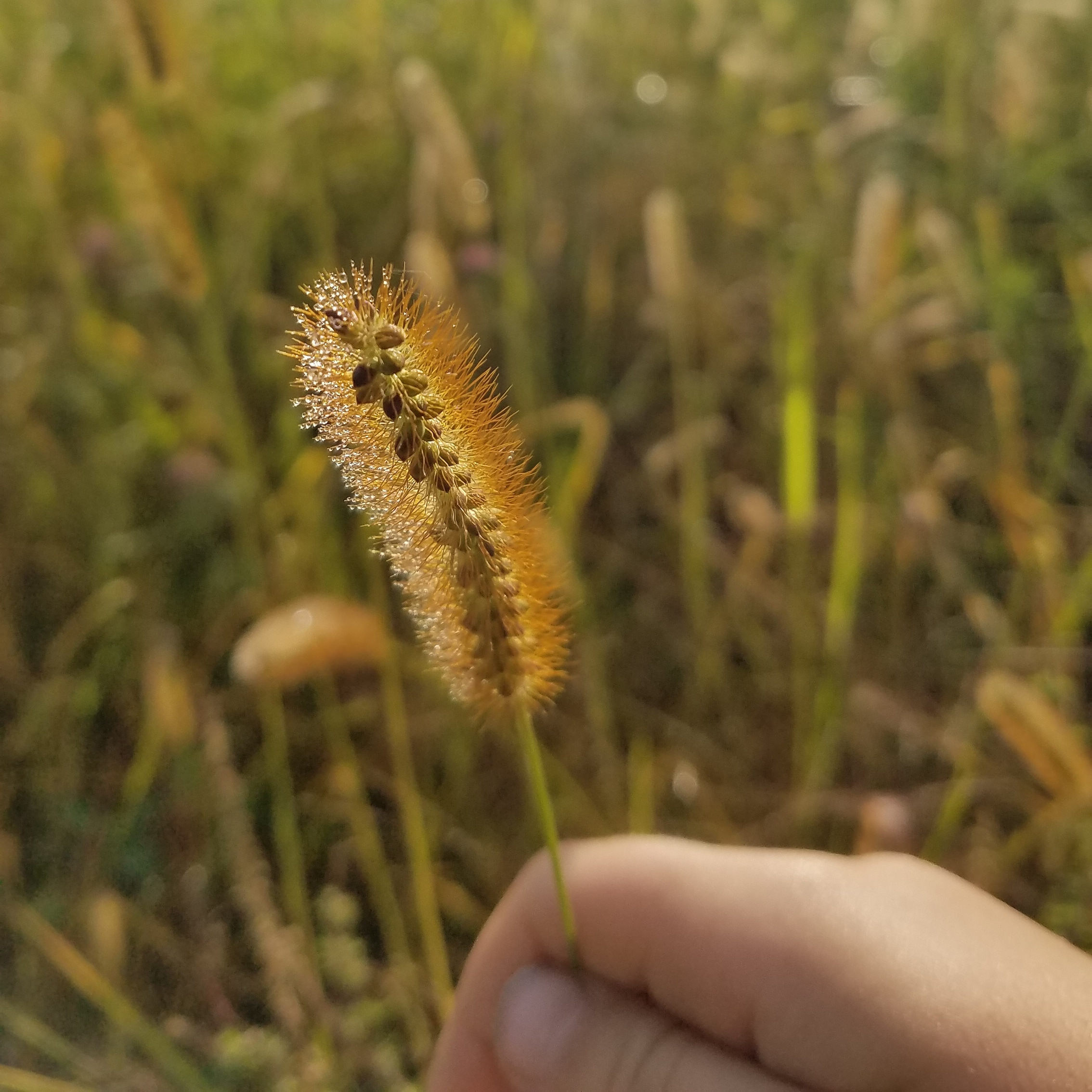 IMG_20190923_093127_777