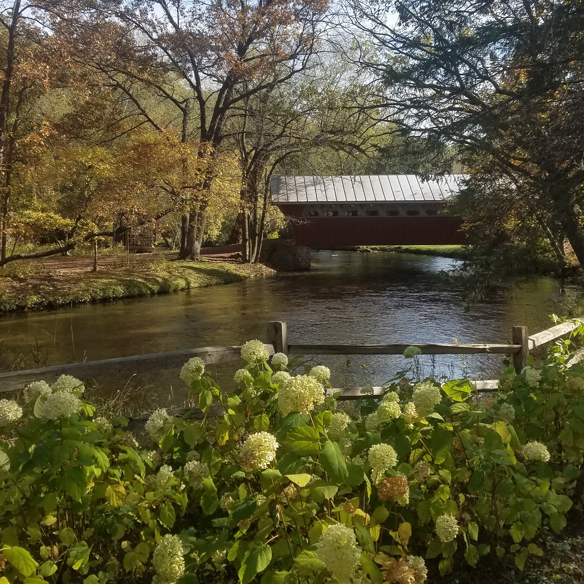 IMG_20191019_101816_755