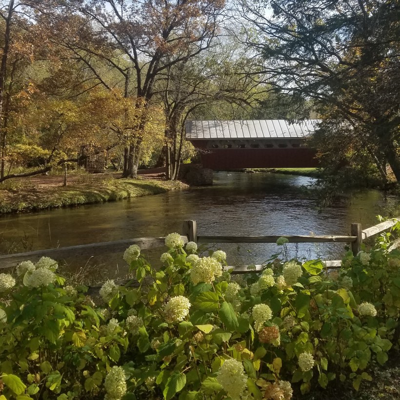 IMG_20191019_101816_755