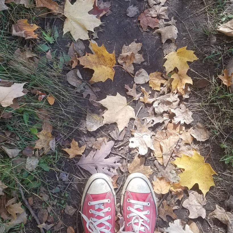 IMG_20191102_075450_163