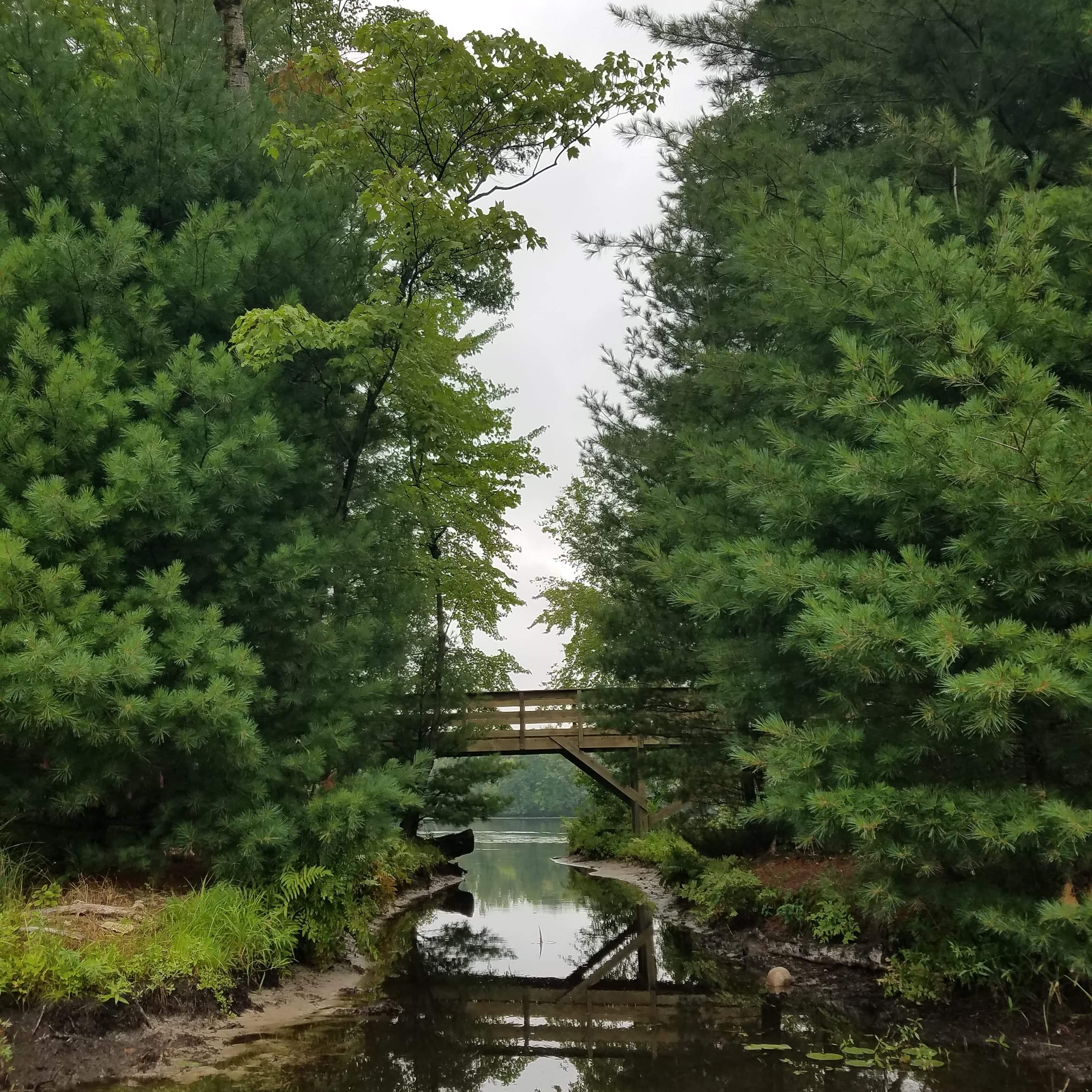 IMG_20200828_160846_396