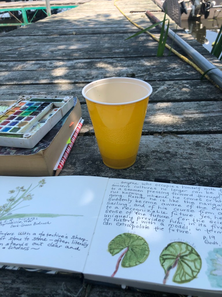 This image has an empty alt attribute; its file name is img_3360.jpg